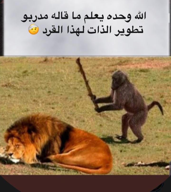 Reply image