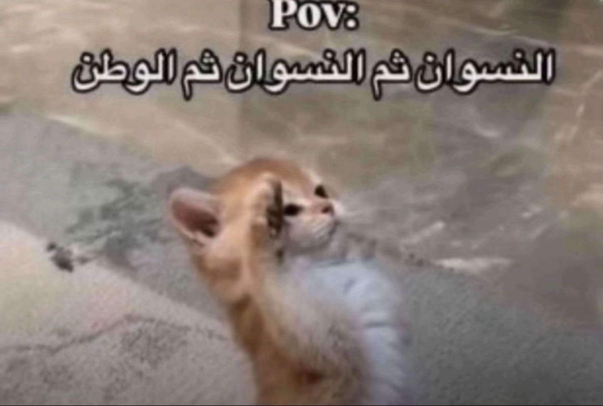 Reply image