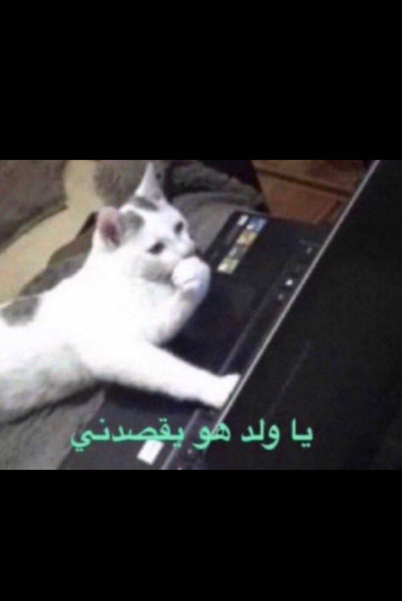 Reply image