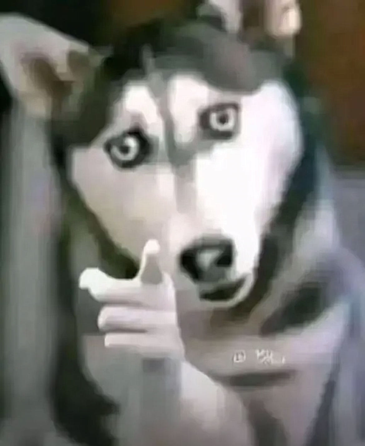 Reply image