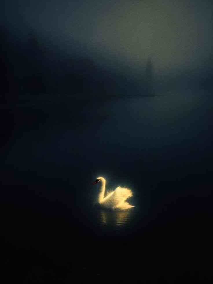 NIMO