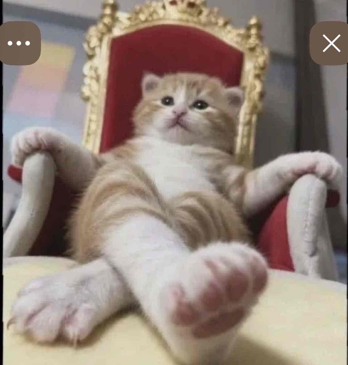 نورااا