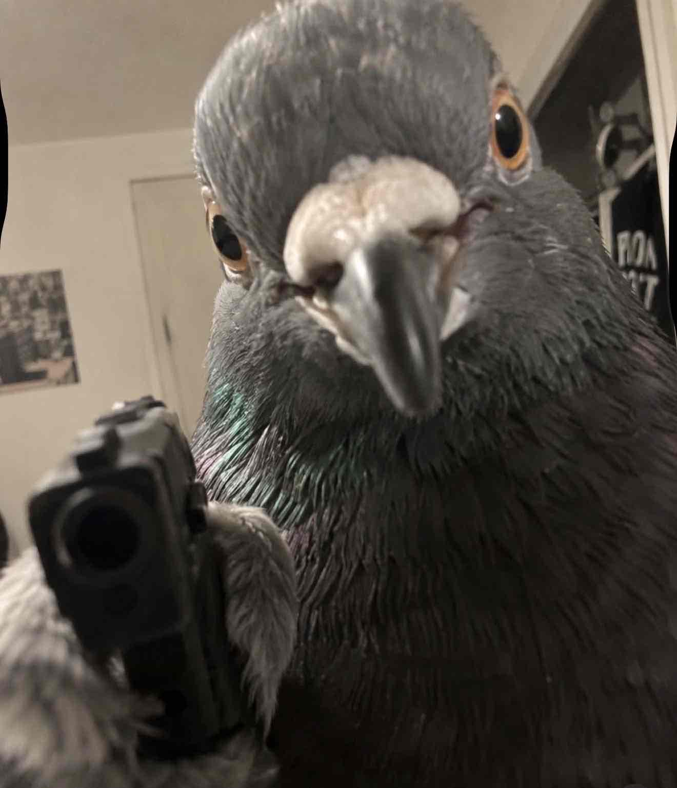 H1