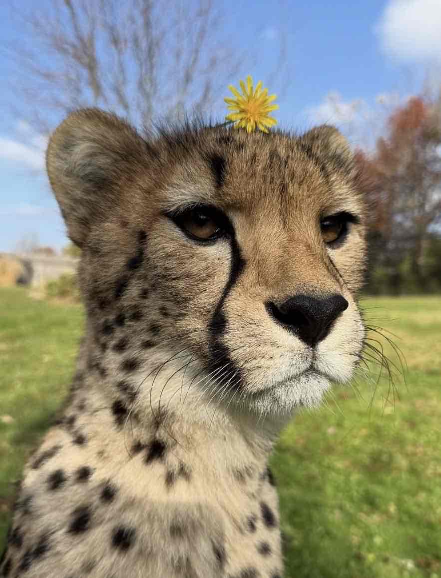 متفائلة سابقا | Rawan