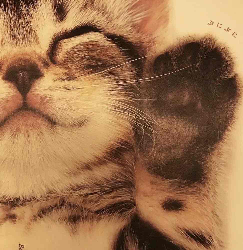 💛عسل