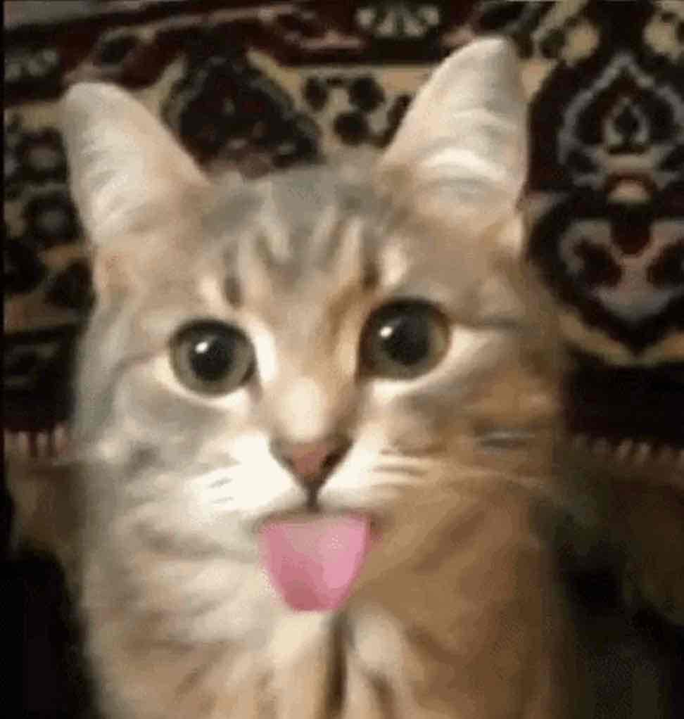 مدري