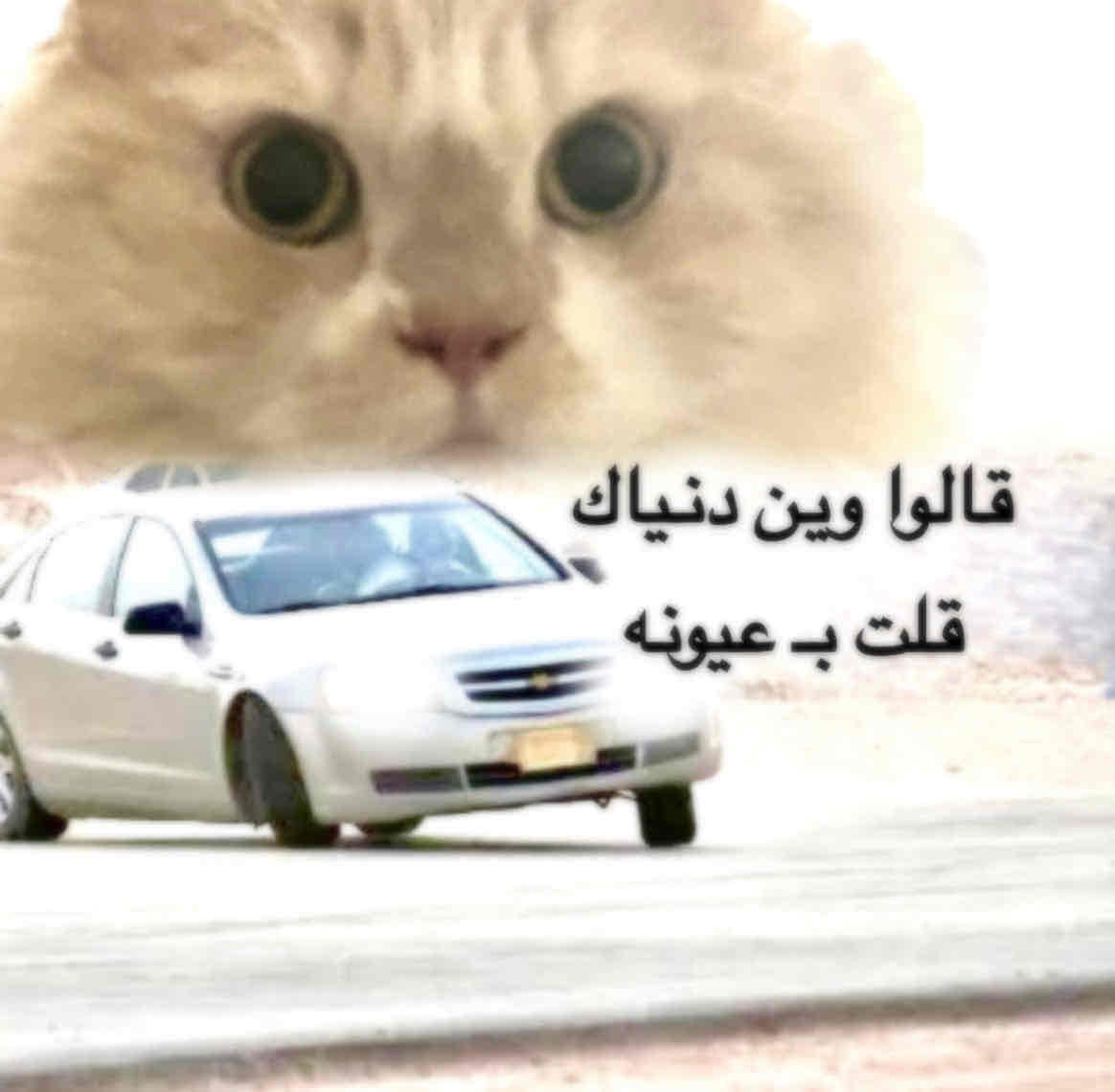 مدري
