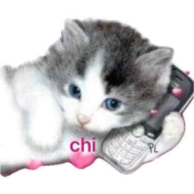 ولك ميياااااو